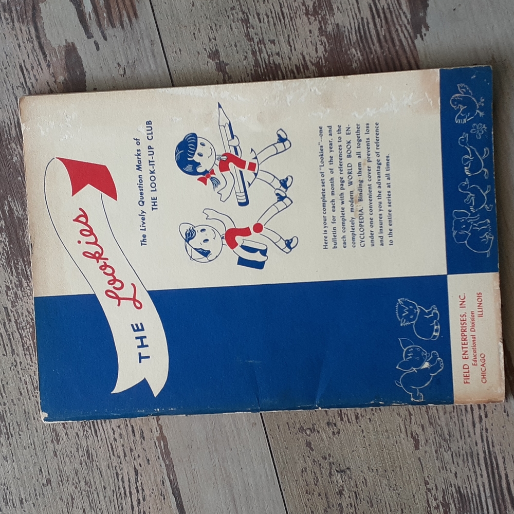 1949 The Lookies Vintage Children's Book